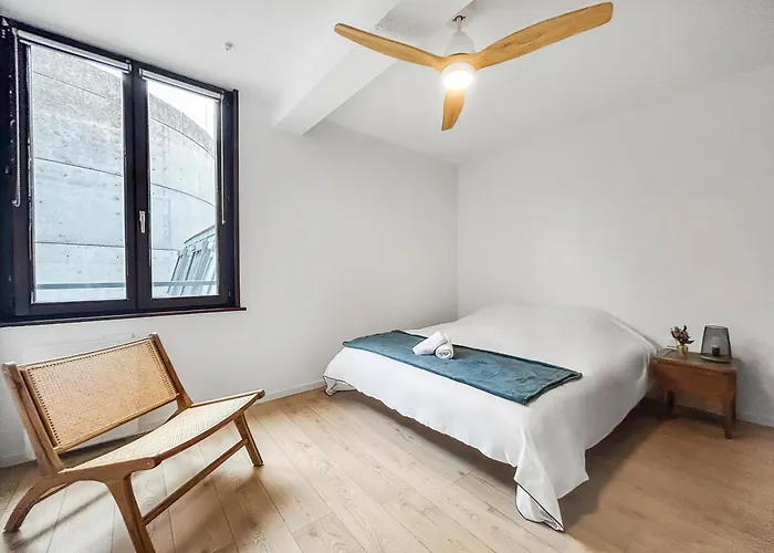 Apartment Duplex Hyper Centre Nancy