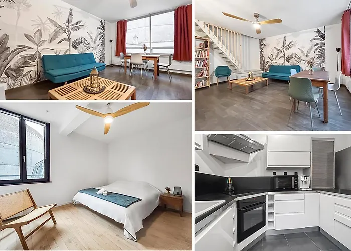 Apartment Duplex Hyper Centre Nancy